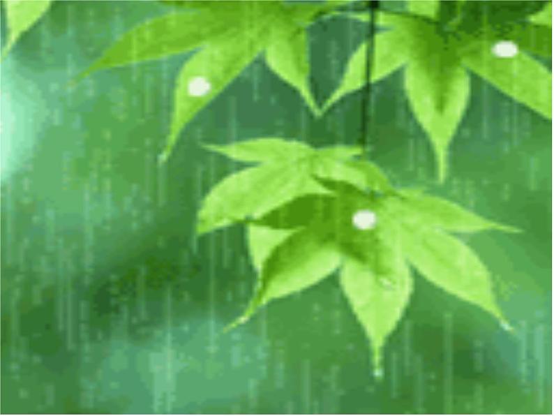 湘艺版小学四年级音乐(演唱)踩雨 课件 (5)第2页