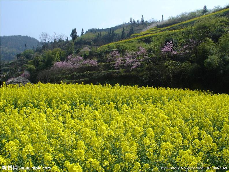 湘艺版一年级音乐(演唱)小雨沙沙 课件 (1)第8页