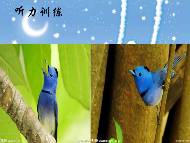 湘艺版一年级音乐（集体舞）蓝鸟 课件05