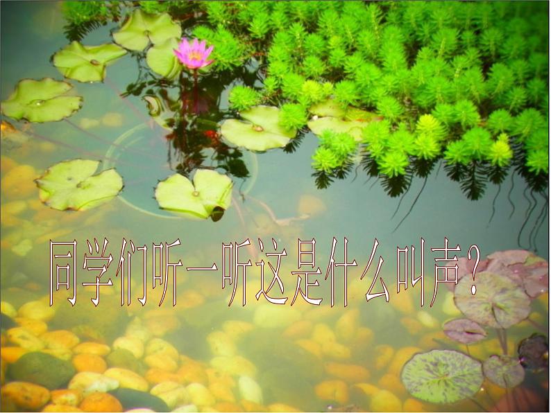 二年级上册音乐课件-第二单元 快乐的游戏-数蛤蟆 (2)04