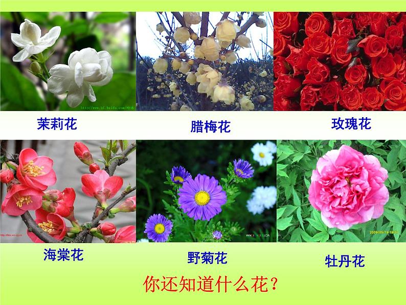 二年级下册音乐课件-第六单元 打花巴掌 人教版 (共16张PPT)07