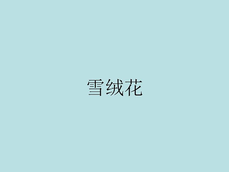 六年级上册音乐课件第五单元 雪绒花 人教新课标(2014秋) (共15张PPT)01