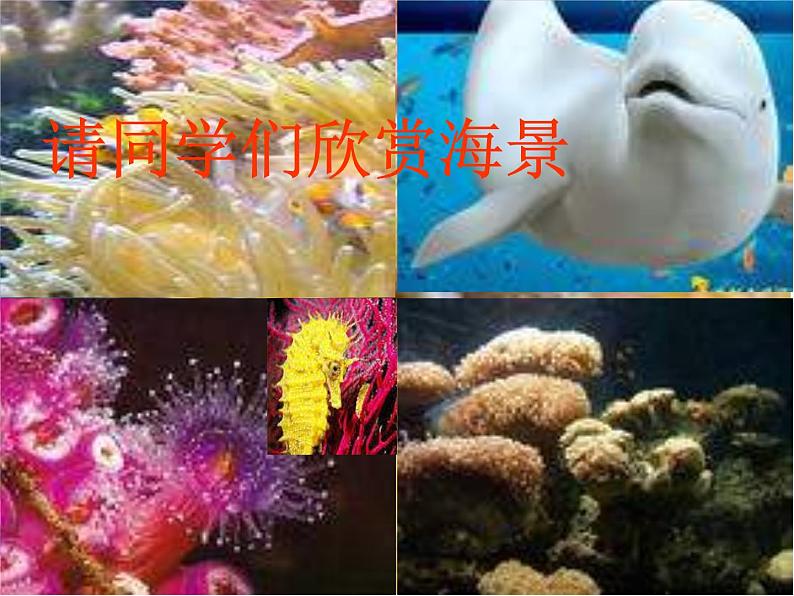 四年级上册音乐课件-第一单元《赶海的小姑娘》 |人教新课标(2014秋) (共22张PPT)第6页