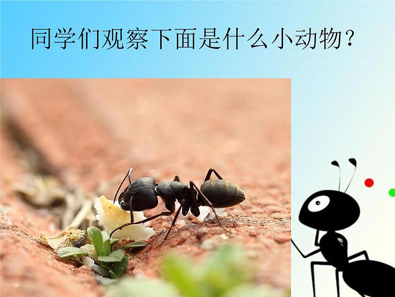 一年级下册音乐课件-《小蚂蚁》03_人教新课标(2014秋)02