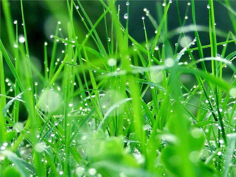 一年级下册音乐课件-《小雨沙沙沙》01_人教新课标(2014秋)第4页