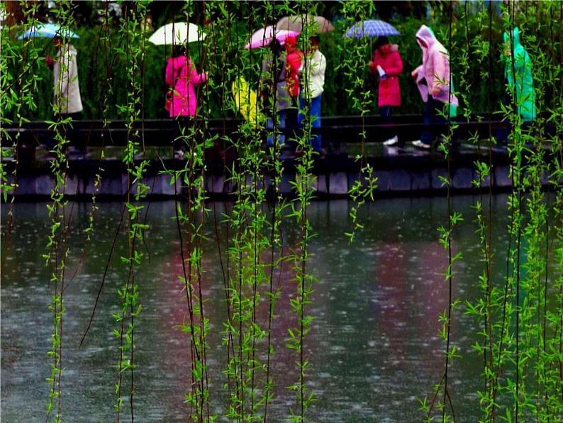 一年级下册音乐课件-《小雨沙沙沙》01_人教新课标(2014秋)第5页