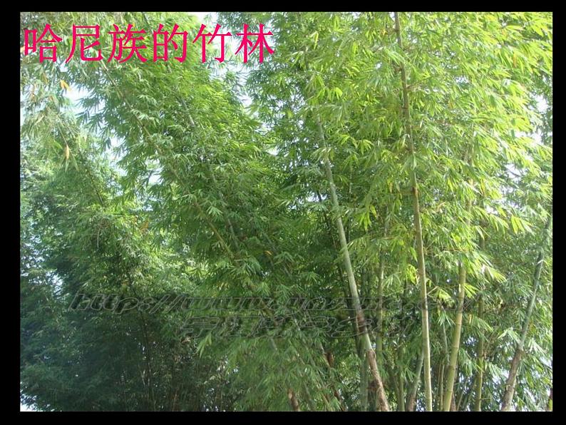 一年级下册音乐课件-5.1其多列 |人教新课标(2014秋) (共18张PPT)04