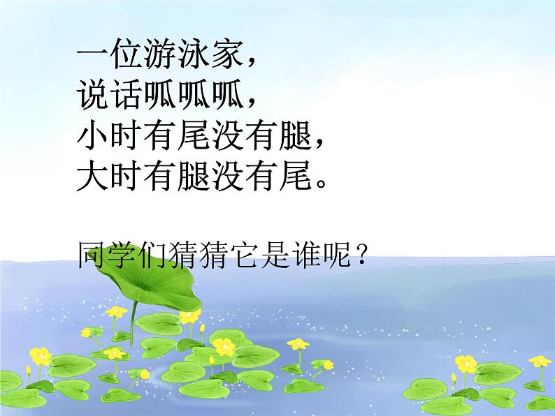 花城版一年级上册音乐 第7课 歌曲《青蛙合唱》_(课件)02