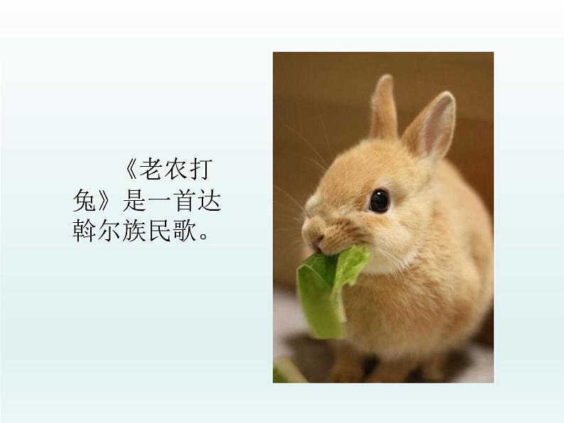 湘艺版二年级下册音乐 第二课 (音乐游戏)你拍我拍真快活_(课件)第3页