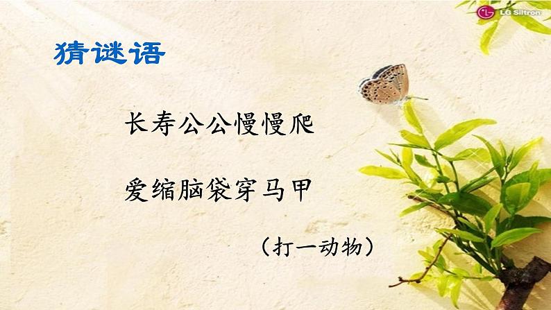 湘艺版二年级下册音乐 第二课 (歌表演)小乌龟飞上天(课件)第2页