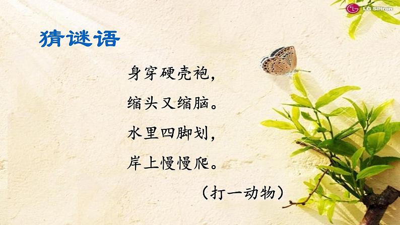 湘艺版二年级下册音乐 第二课 (歌表演)小乌龟飞上天(课件)第3页