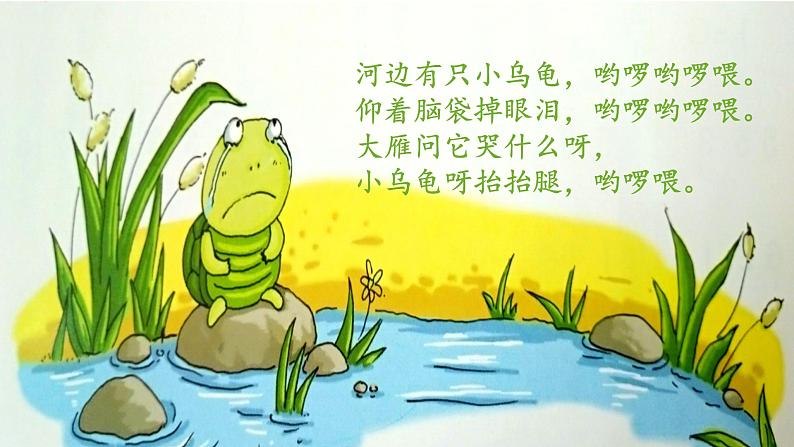 湘艺版二年级下册音乐 第二课 (歌表演)小乌龟飞上天(课件)第6页