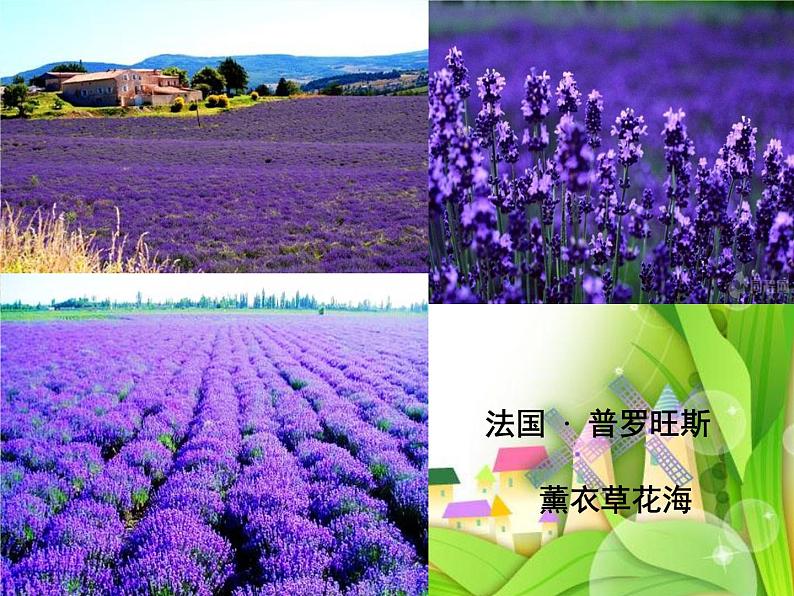 湘艺版二年级下册音乐 第六课 (听赏)加伏特舞曲(课件)第5页