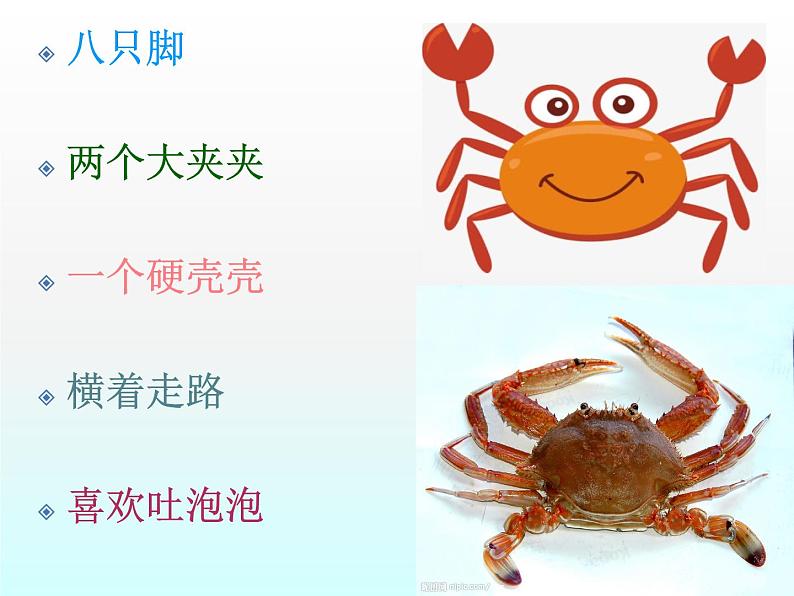 湘艺版二年级下册音乐 第九课 (歌表演)螃蟹歌(4)(课件)03