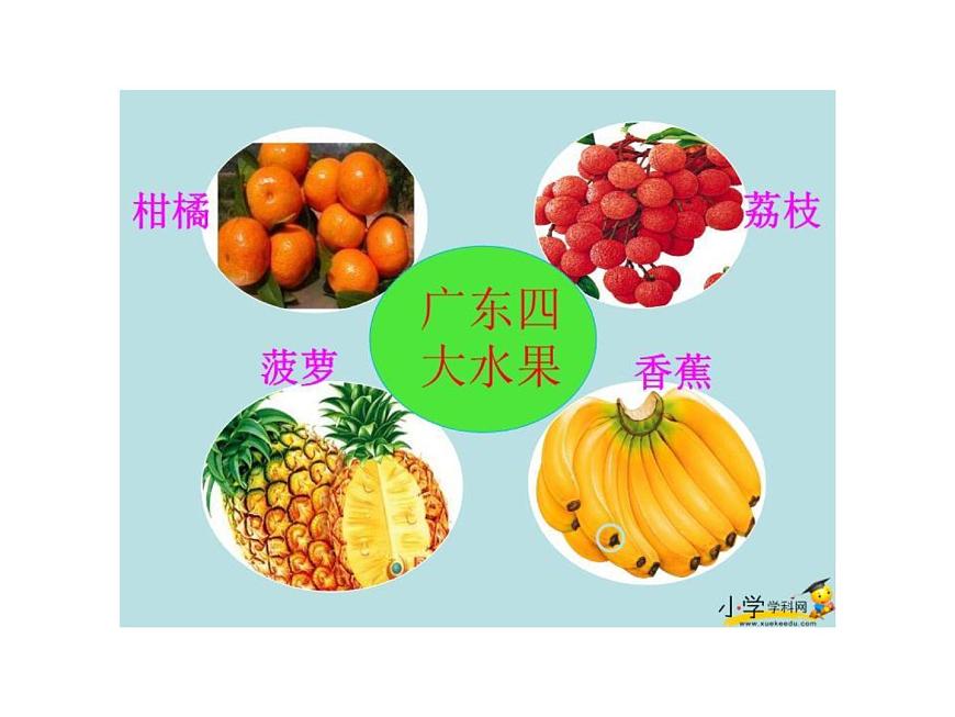 湘藝版二年級(jí)下冊(cè)音樂(lè) 第四課 (演唱)排排坐(課件)第7頁(yè)
