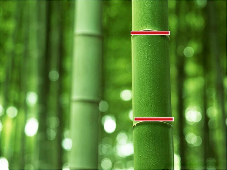 湘艺版二年级下册音乐 第一课 (音乐知识)小节 小节线 终止线_(课件)04