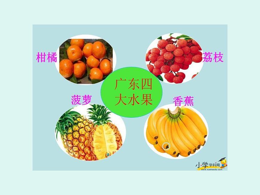 湘藝版二年級(jí)下冊(cè)音樂(lè) 第四課 （演唱）排排坐(1)（課件）第7頁(yè)