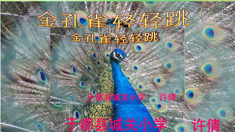 小学音乐人教版 二年级下册选唱金孔雀轻轻跳 课件01