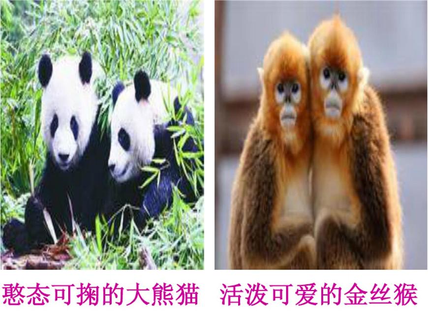 湘藝版小學(xué)音樂五下 3.1吹起羌笛跳鍋莊 課件第6頁