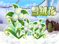 西师大版五下音乐 5.2.2雪绒花 课件