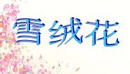 小学音乐西师大版五年级下册唱歌 雪绒花课文课件ppt