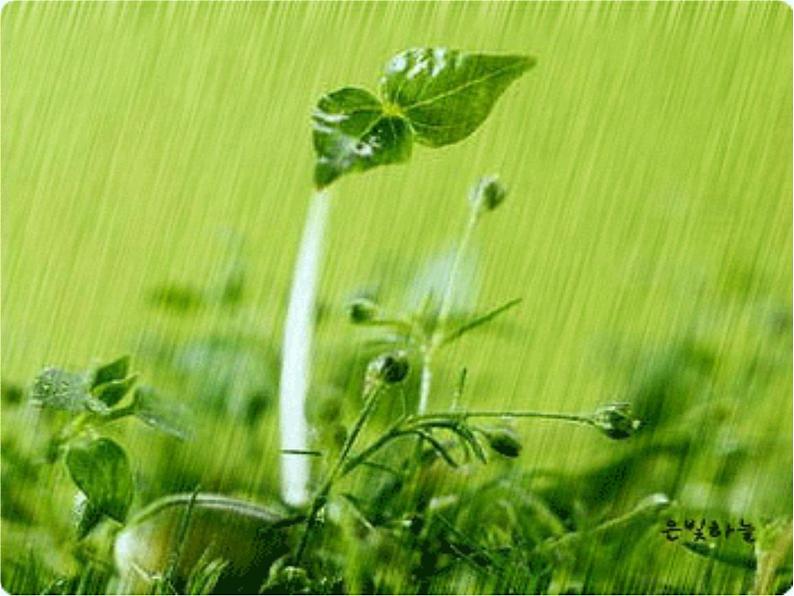 一年级下册音乐课件第二单元《唱歌 小雨沙沙沙 》 人教版 20张03