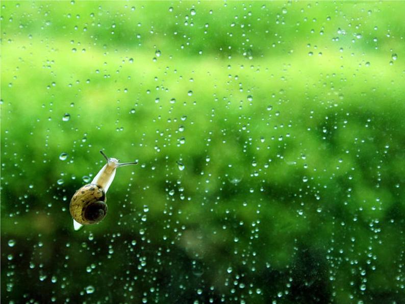 一年级下册音乐课件第二单元《唱歌 小雨沙沙沙 》 人教版 20张04