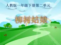 一年级下册音乐课件 第二单元 唱歌 柳树姑娘 人教版  12张