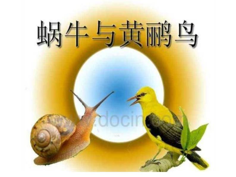 湘艺版小学音乐四下 8.4演唱 蜗牛与黄鹂鸟 课件05