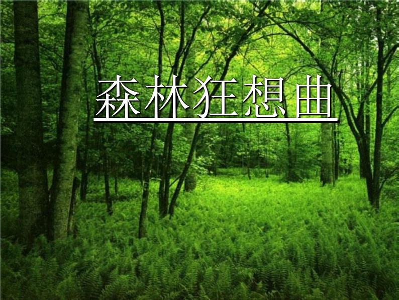 四年级音乐下册课件 5.1 森林狂想曲 人音版 47张01