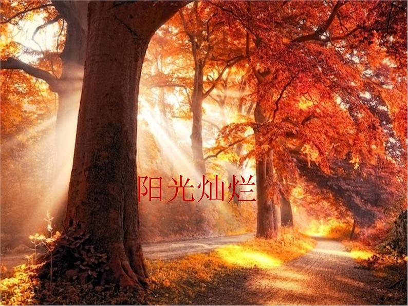 四年级音乐下册课件 5.1 森林狂想曲 人音版 47张03