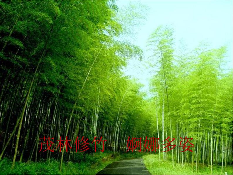 四年级音乐下册课件 5.1 森林狂想曲 人音版 47张06