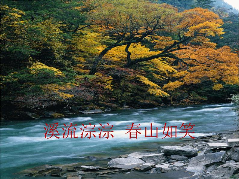四年级音乐下册课件 5.1 森林狂想曲 人音版 47张08