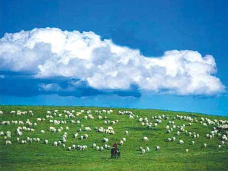 四年级下册音乐课件（简谱） （读谱唱歌）可爱的羊群(2)  湘艺版12张04