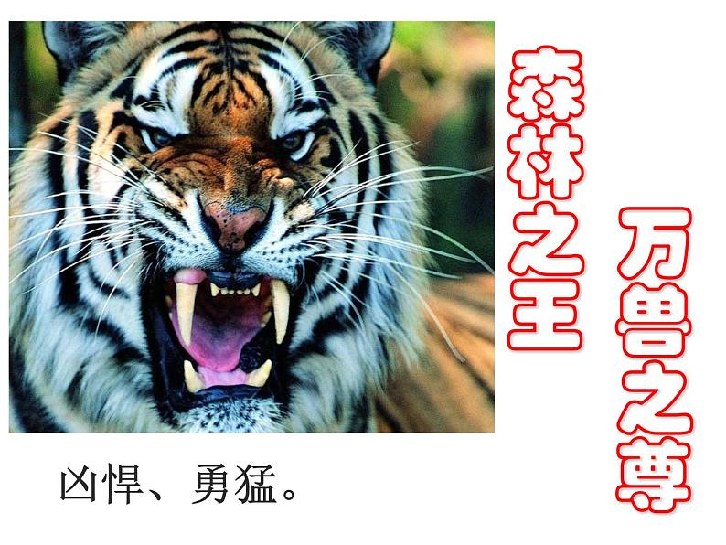湘艺版音乐三年级下册 第十课 下山虎 课件(11ppt)第5页