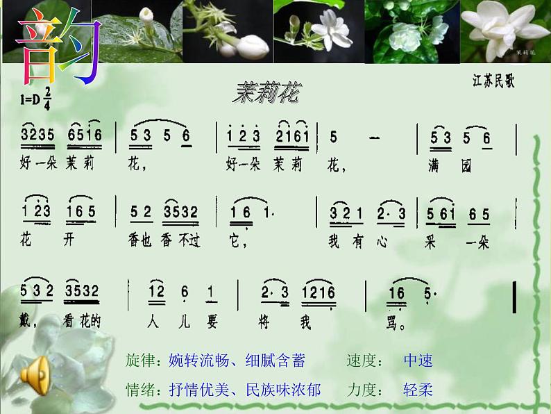 茉莉花2第5页