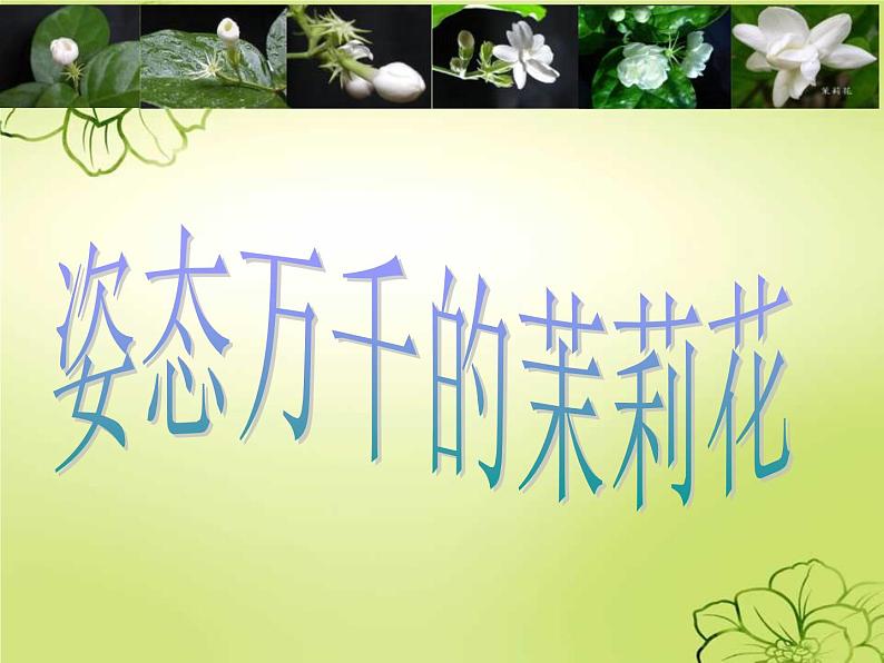 茉莉花2第7页