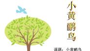 小学湘艺版第九课小黄鹂鸟教学课件ppt