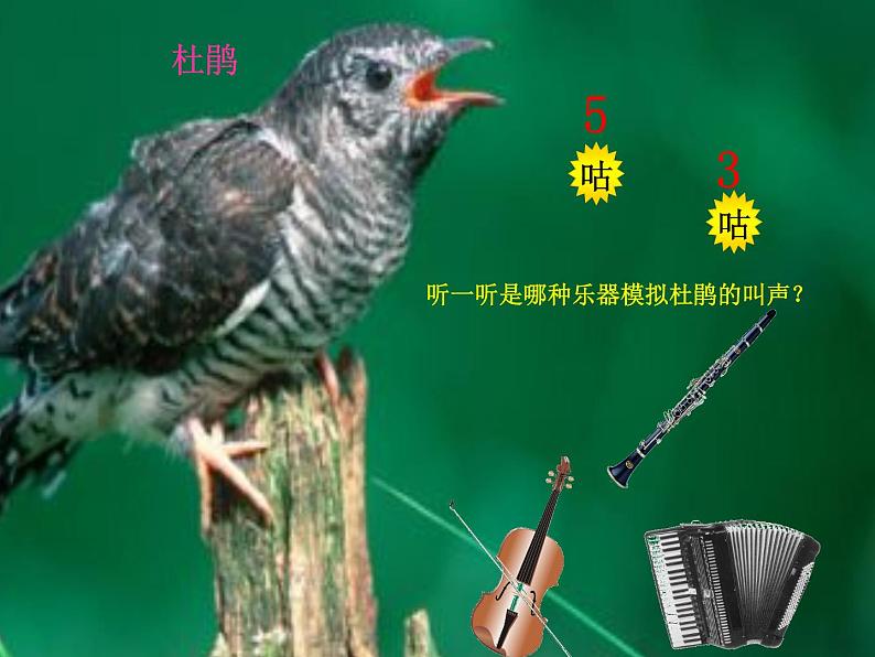 人音版三年级下册3.《顽皮的杜鹃》课件04