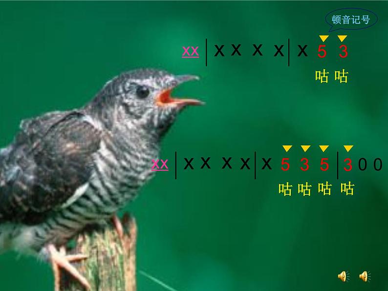人音版三年级下册3.《顽皮的杜鹃》课件07