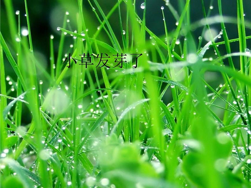 一年級下冊音樂課件《小雨沙沙》1-湘教版-(共14張PPT)第3頁