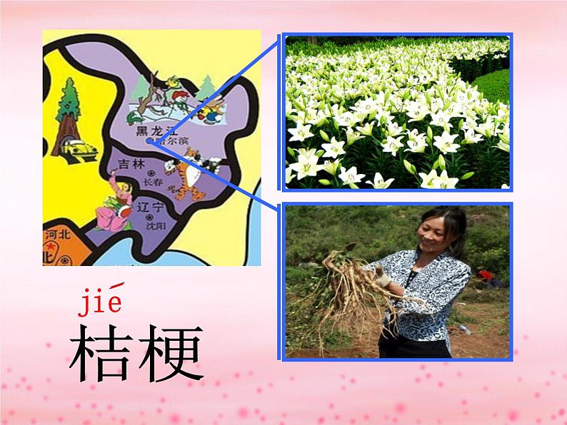 三年级上册音乐课件桔梗谣--(4)人音版(简谱)(2014秋)08