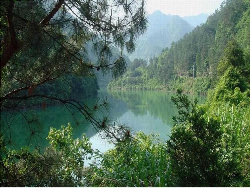 山谷靜悄悄第4頁