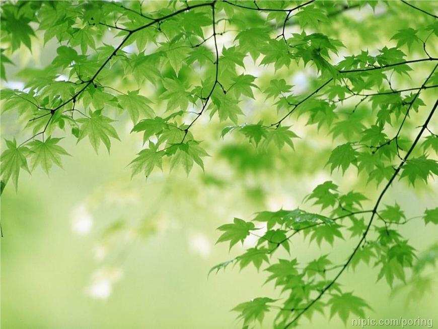 山谷靜悄悄第8頁
