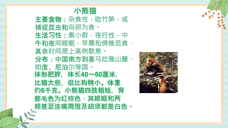 西师大音乐一上 第3单元:律动《动物园》课件+音频06
