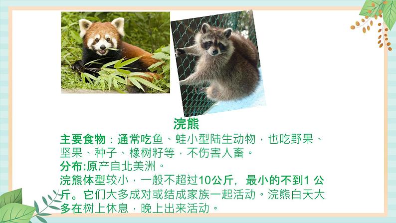 西师大音乐一上 第3单元:律动《动物园》课件+音频07