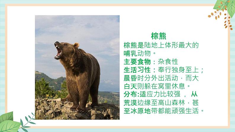 西师大音乐一上 第3单元:律动《动物园》课件+音频08
