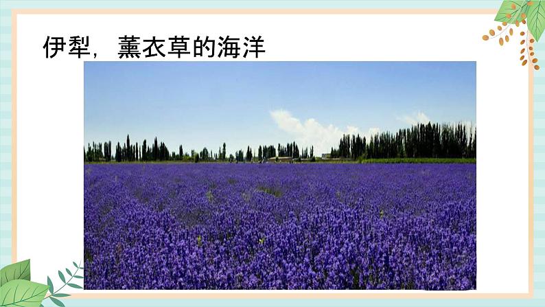 西师大音乐六上 一杯美酒 课件+音频07