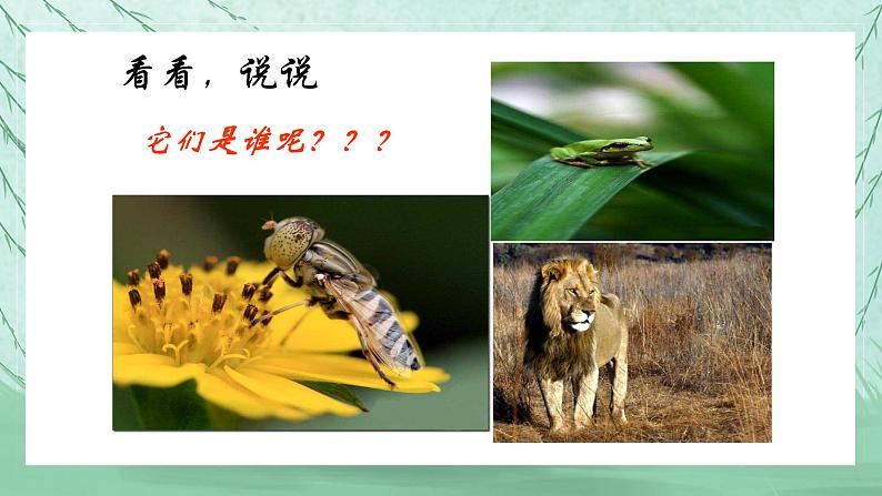 人音版音乐一年级上册 第4课可爱的动物 袋鼠 课件07