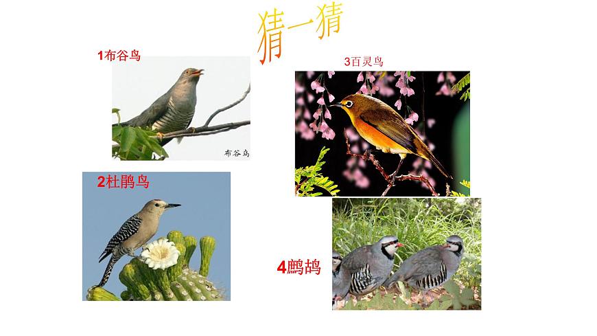 人音版音樂三年級(jí)下冊(cè) 第3課我們的朋友  蔭中鳥  課件第7頁(yè)